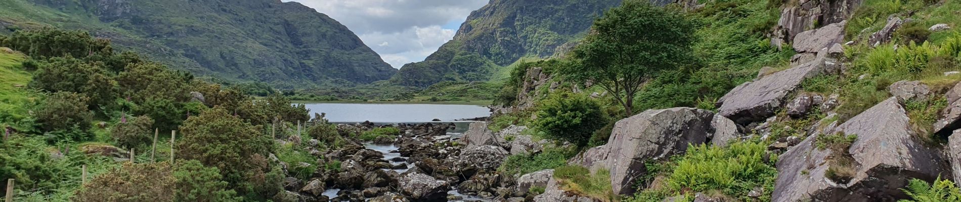 Tocht Stappen Kenmare Municipal District - Parc National Killarney - Photo