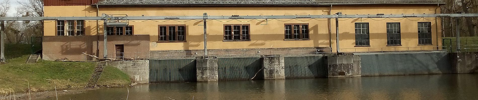 Percorso A piedi Germersheim - Rheinaue und Hochgestade - Photo