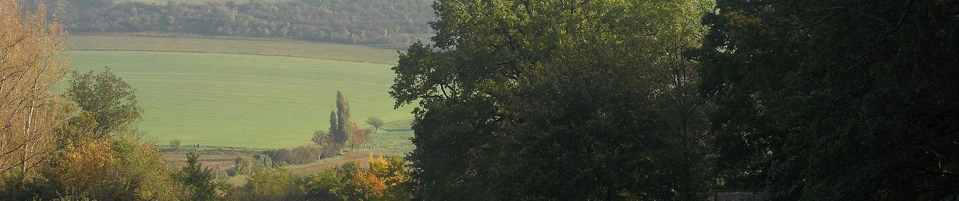 Randonnée A pied Dornburg-Camburg - Rundweg Camburg-Stöbnitz - Photo