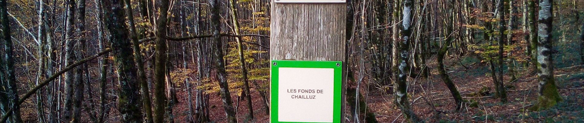 Tocht Stappen Braillans - Braillans Forêt de Chailluz - Photo