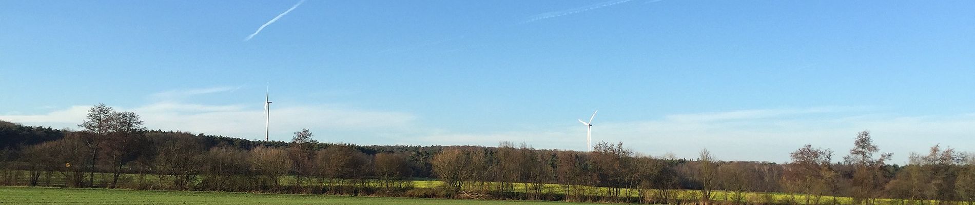 Tour Zu Fuß Roßdorf - Rundwanderweg Dieburg Am Messeler Weg 3: Tannenkopf-Weg - Photo