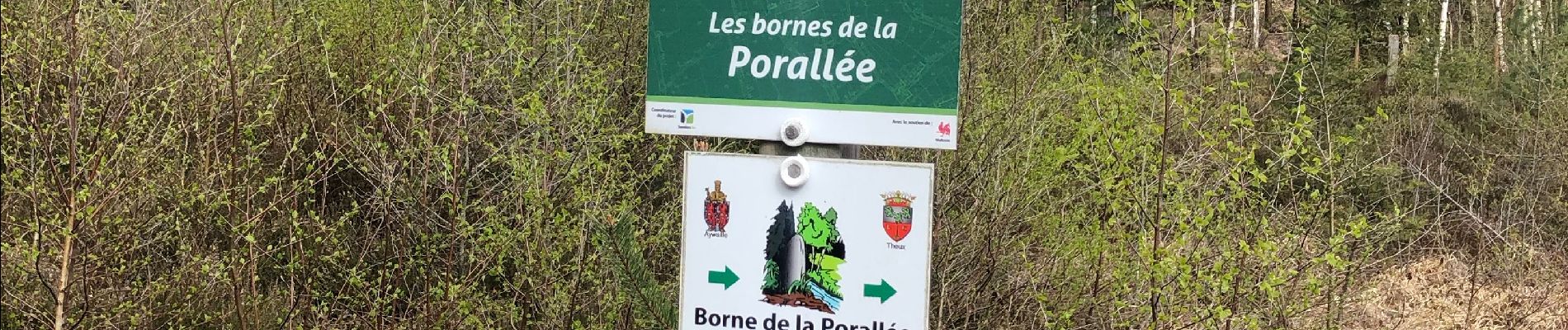 Tour Zu Fuß Aywaille - Boucle Remouchamps (Carriere) 8,5 Km - Photo