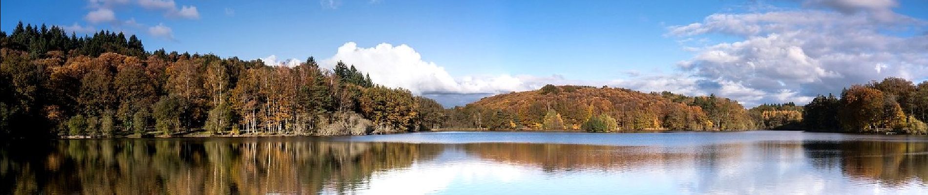 Excursión Senderismo Loubeyrat - Loubeyrat_Etang_Lachamp - Photo