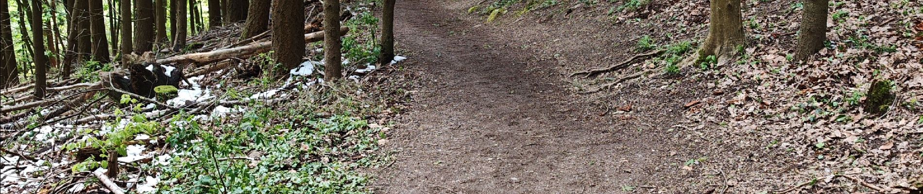 Percorso Marcia Barr - boucle hotzplatz-birkenflet-landsberg-holtzplatz - Photo