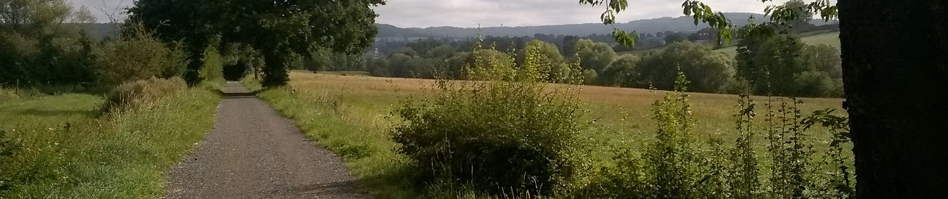 Randonnée A pied Plombières - Prés - Photo