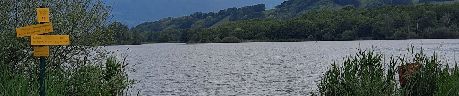 Randonnée Marche Saint-Pierre-de-Soucy - Tour du lac Ste Hélène  - Photo