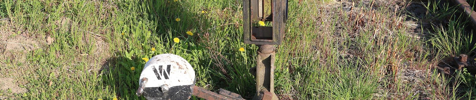 Percorso A piedi Rabenau - Rabenauer Höhenweg - Photo