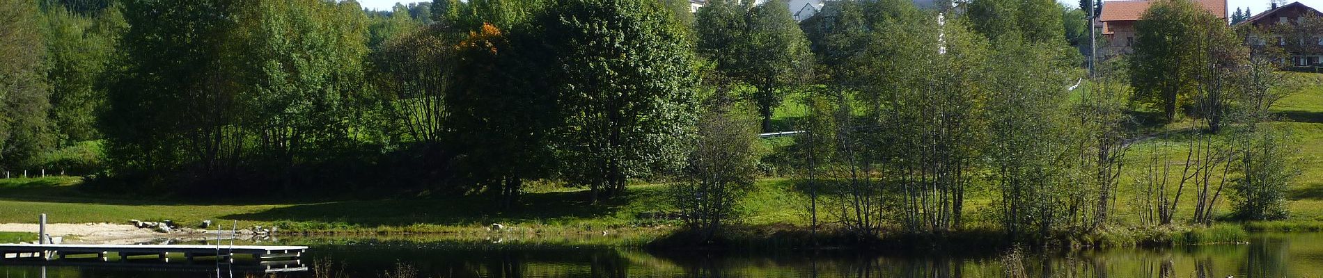 Percorso A piedi Hohenau - Umleitungsstrecke für Wildschutzgebiet um die Steinbachklause. - Photo