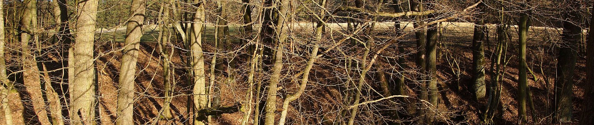 Percorso A piedi Neumarkt in der Oberpfalz - Steinbergrundweg - Photo