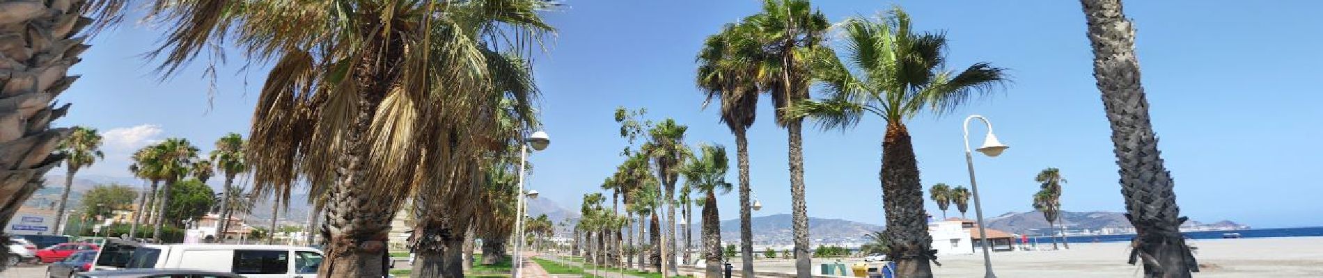 Percorso A piedi Motril - Paseo de Motril et zone Humide - Photo