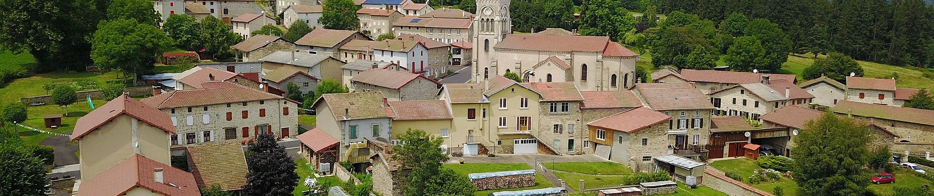 Randonnée A pied Saint-Bonnet-le-Bourg - L'Etang de Marchaud - Photo