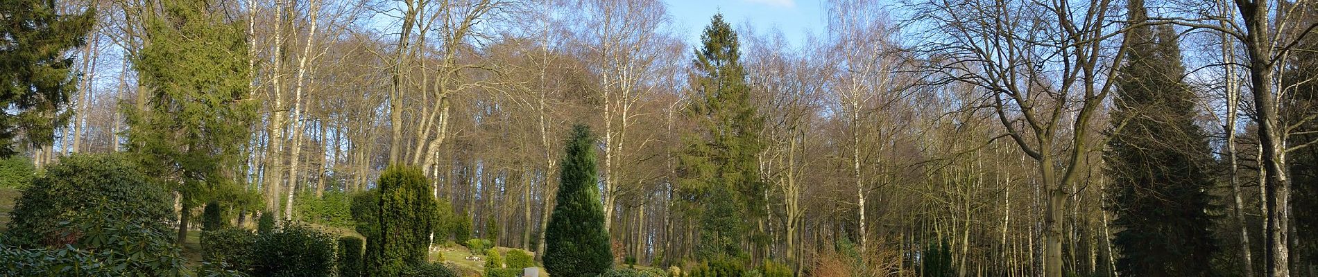 Randonnée A pied Itzehoe - Spaziergang im Stadtforst Itzehoe 2 - Photo