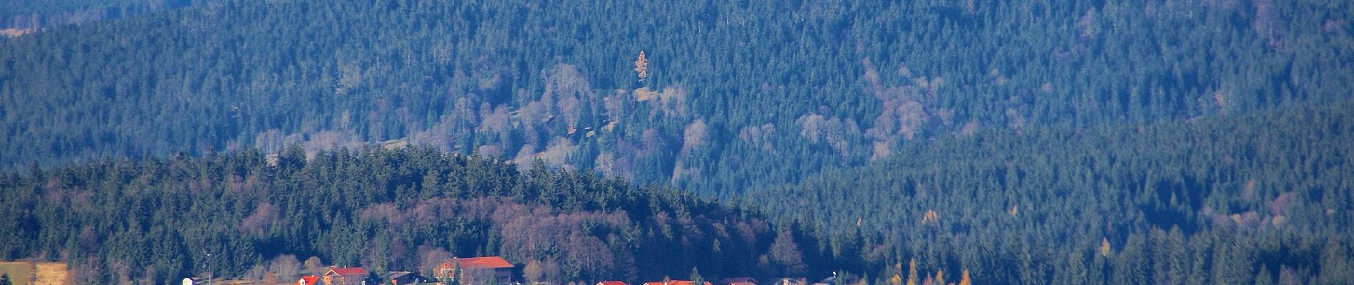 Tour Zu Fuß Graineter Wald - Rundwanderweg 5 (Haidel) - Photo