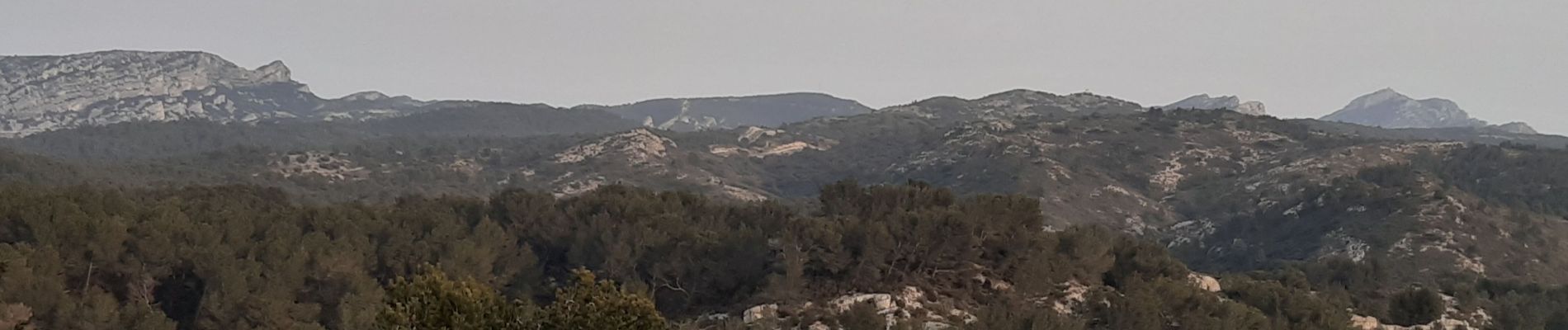 Randonnée Marche Mouriès - Mouries Baume Brignolles Quatre Termes - Photo