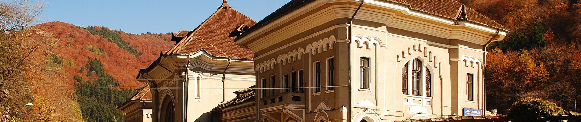 Tocht Te voet Sinaia - Sinaia - Șaua Vârfului cu Dor - Cabana Padina - Photo