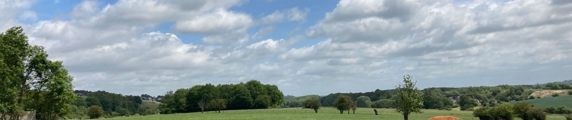 Randonnée Marche Yvoir - Durnal / 2020-05-24 / 16 km - Photo