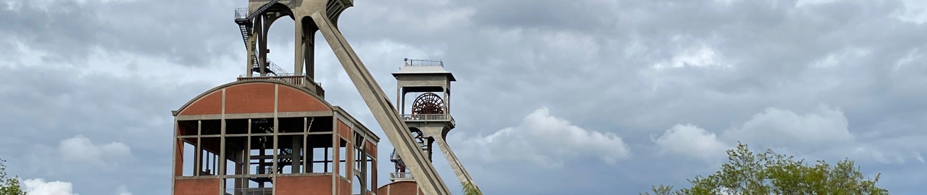 Tour Wandern Maasmechelen - Terhills deels paarse route 14km - Photo