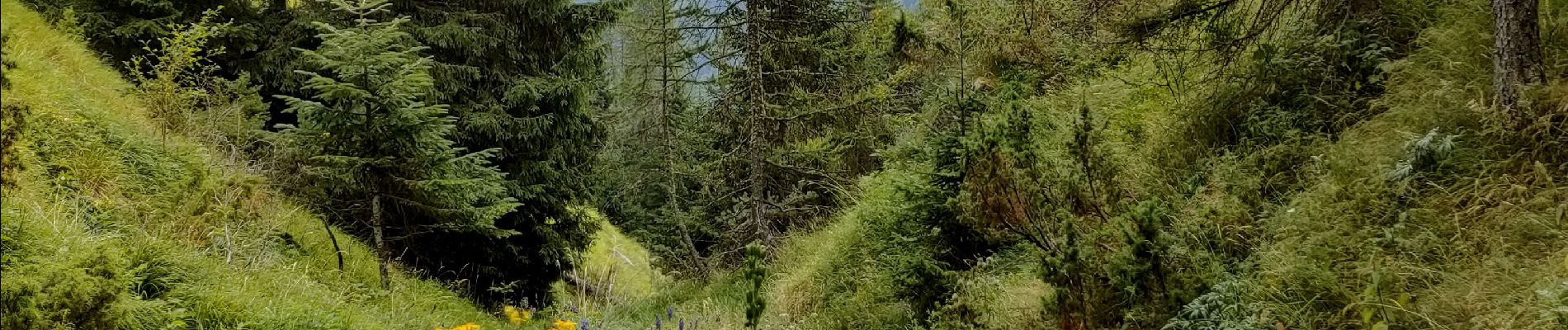 Randonnée Marche Moulinet - Col de Turini  - Photo