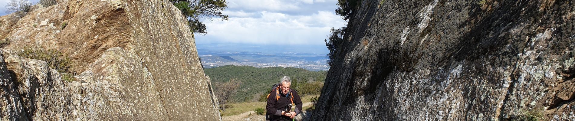 Randonnée Marche La Garde-Freinet - La Garde Freinet - Photo