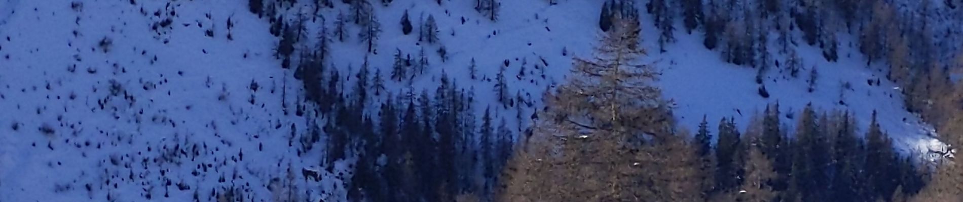 Randonnée Raquettes à neige Tignes - naroze - Photo