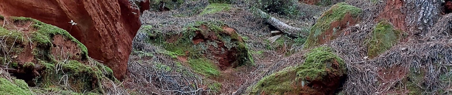 Tocht Mountainbike Mormoiron - Acte 1 Découverte Ocres et sentiers Philou - Photo