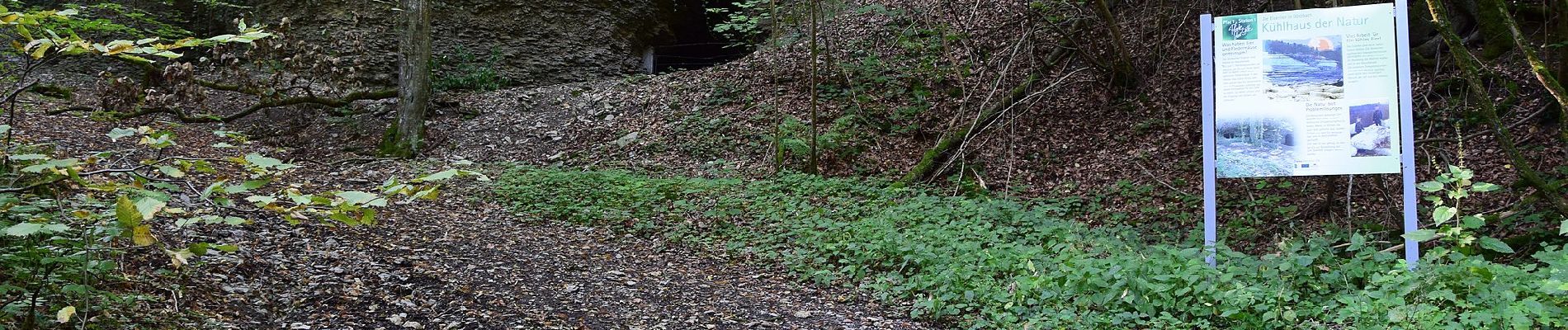 Percorso A piedi Dörzbach - Pfad der Stille (Dörzbach) - Photo