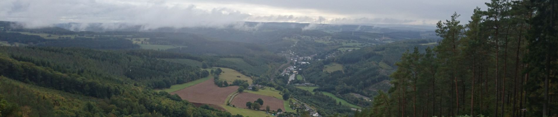 Trail Walking Stavelot - boucle Ster  - Photo