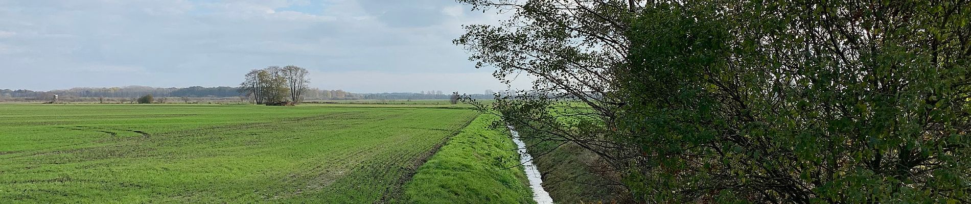 Tocht Te voet Ludwigsfelde - Rangsdorfer See - Photo