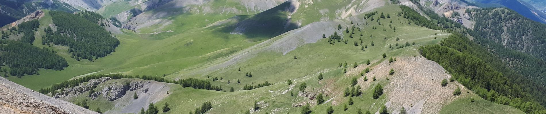 Tour Wandern Roubion - Vignols et Mt Gravieres par Roubion - Photo