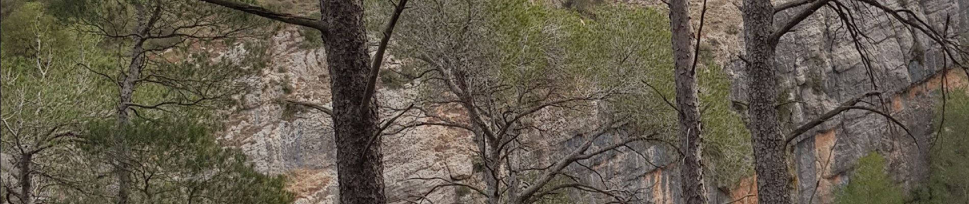 Tocht Stappen Le Tholonet - Le tholonet, les trois barrages - Photo