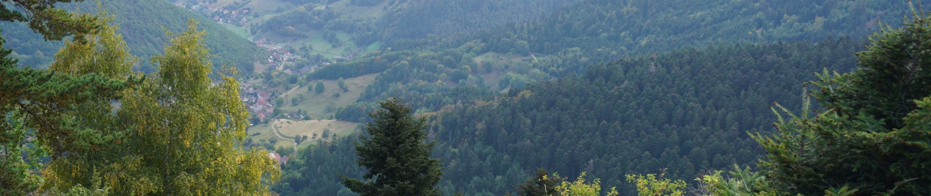 Excursión Senderismo Luttenbach-près-Munster - Petit Ballon/Wasserbourg - Photo