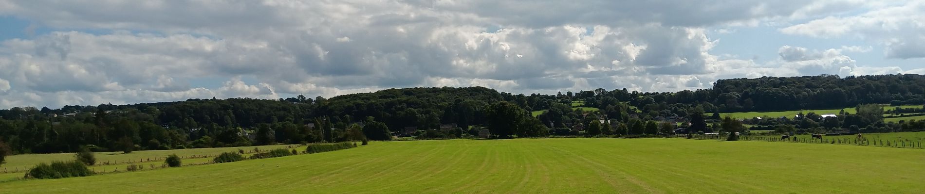 Tour Wandern Ferrières - xhoris adeps 15km 2024  - Photo