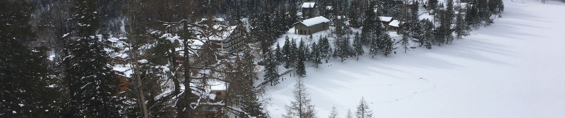 Tour Schneeschuhwandern Orsières - Champex Lac - Belvédère - Champex Lac - Photo