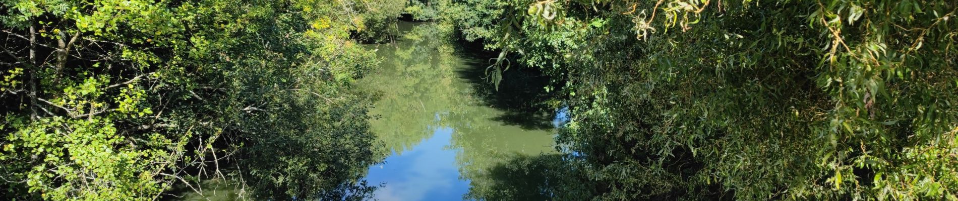 Percorso Bici ibrida La Chapelle-sur-Erdre - R/étape 0 la chapelle sur Erdre à Nantes - Photo