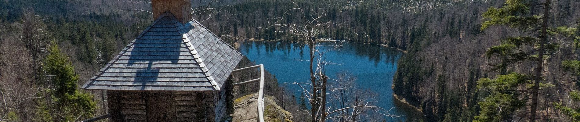 Randonnée A pied Spiegelau - Auerhahn - Photo