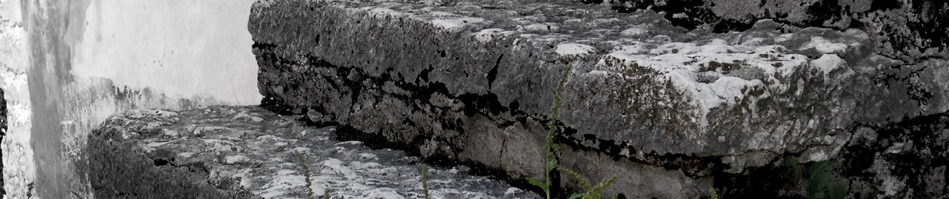 Tour Zu Fuß Negrar di Valpolicella - Cà Antolini - Erbezzo - Photo