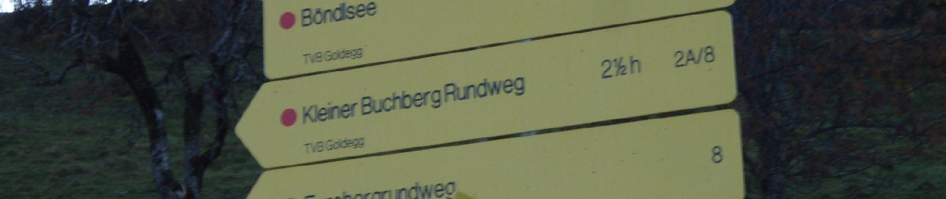 Tour Zu Fuß Goldegg - Kleiner Buchbergrundweg - Photo