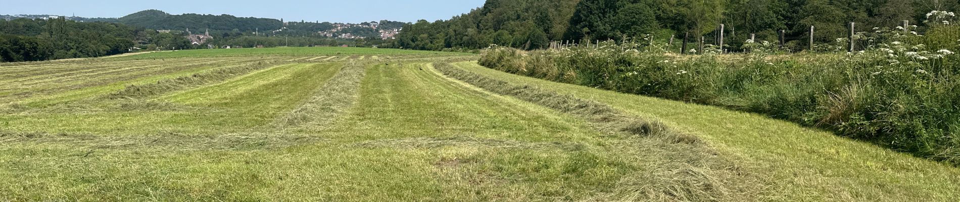 Tocht Stappen Châtelet - GR 1666 partie 2 - Châtelet Roux 35 km - Photo