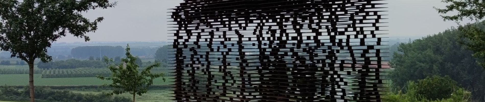 Tocht Stappen Borgloon - A travers les vergers de Borgloon  - Photo