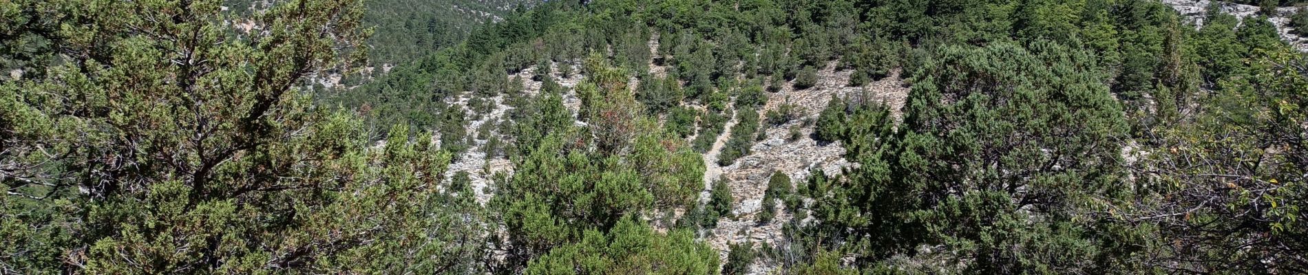 Trail Walking Garde-Colombe - Gorges du Riou - Photo