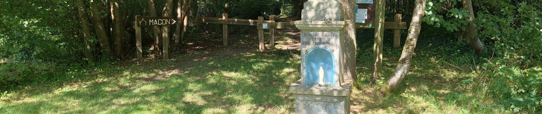 Tour Wandern Momignies - Notre-Dame des Affligés  - Photo