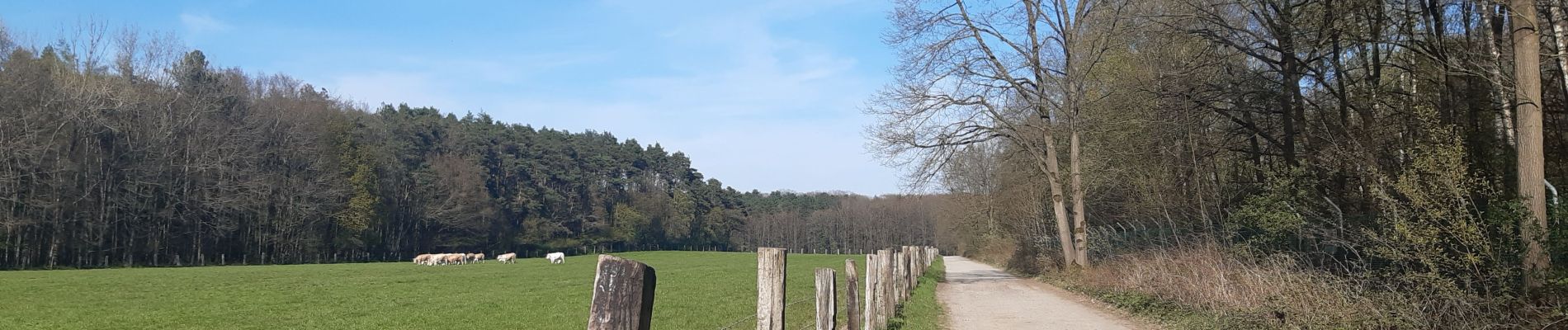 Tocht Stappen Oud-Heverlee - petit tour'tje autour de la caserne d Heverlee  - Photo