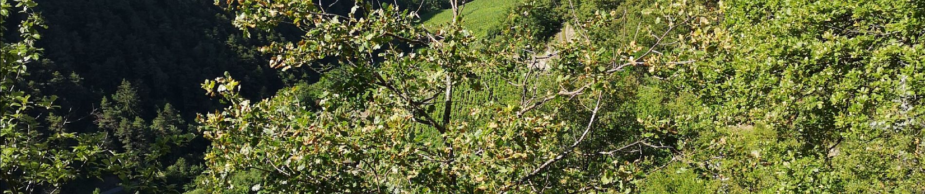 Tour Nordic Walking Icogne - bisse du claveau  - Photo