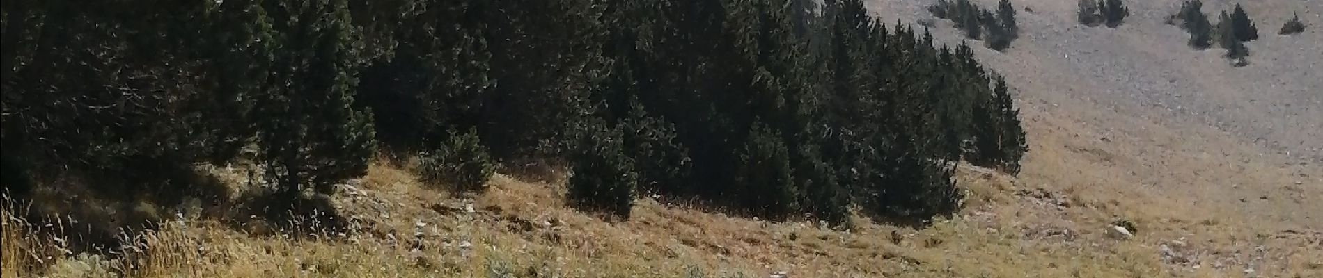 Tocht Stappen Beaumont-du-Ventoux - ventoux - Photo