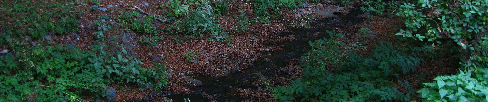 Excursión A pie Desconocido - Kassel, Rundweg 17 - Photo