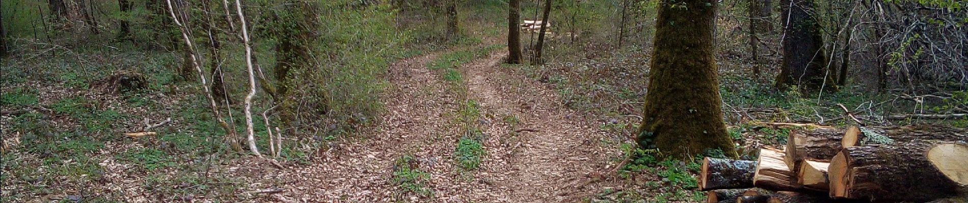 Tocht Stappen Besançon - TILLEROY POULEY LES VIGNES - Photo