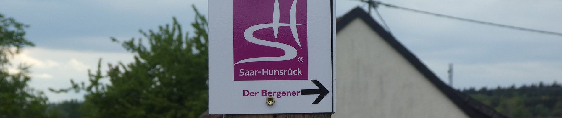 Tour Zu Fuß Losheim am See - Greimerather Höhenweg - Photo