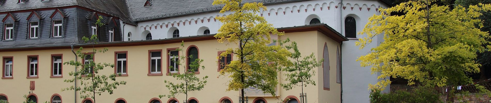 Randonnée A pied Rüdesheim am Rhein - Wanderweg gelber Balken - Photo