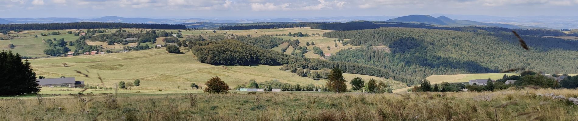 Trail Walking Les Estables - Rocher de Tourte - 02-09-2020 - Photo