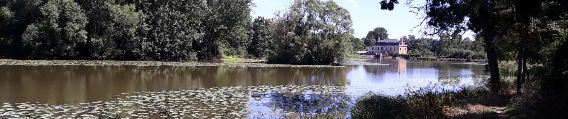 Tour Wandern Cléré-sur-Layon - Clere sur Layon - Photo